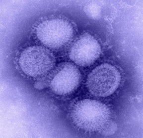 Biological Safety homepage Biological Safety