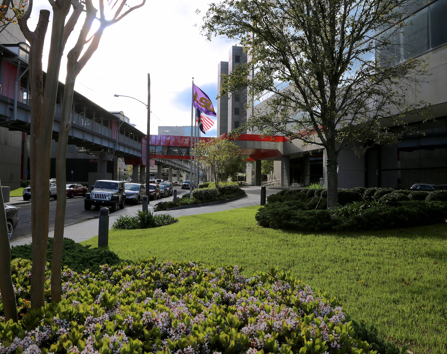 lsuuhsc flags lsuhsc campus flags