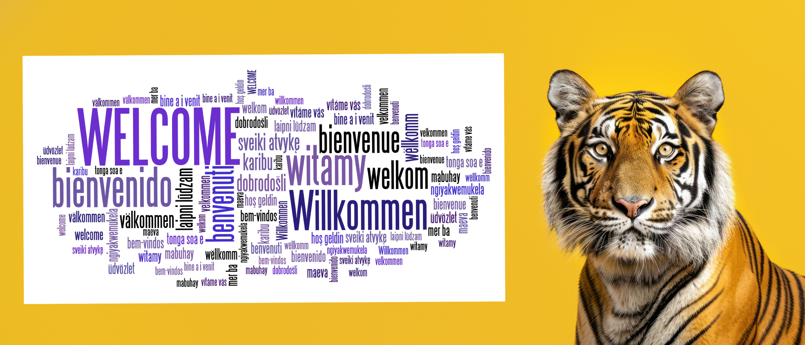 Compressed International Welcome Tiger