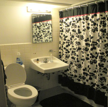 Apartment Bathroom 2013 9:00:28 AM